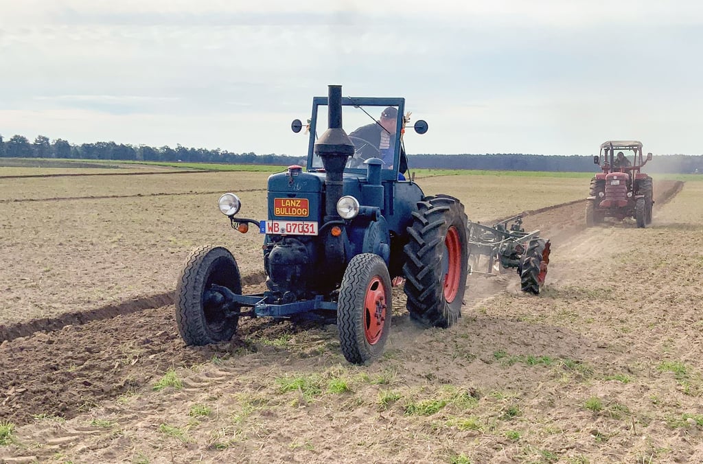 Arbeiten aus Spaß: Etliche der Traktoristen ziehen nur zum Schaupflügen in Mark Zwuschen mit ihrem Trecker das Ackergerät übers Feld, manche zum ersten Mal. Dabei sind vom alten Lanz Bulldog (vorn) über Belarus und ZT 320 viele verschiedene Typen aus der Historie bis zur Moderne am Start.