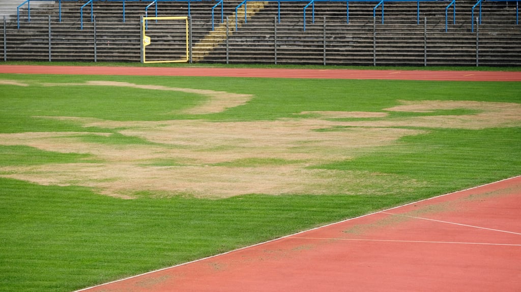Der zerstörte Rasen im Paul-Greifzu-Stadion von Dessau - hier nach dem Anschlag Ende August - wurde inzwischen mühsam und teuer saniert.