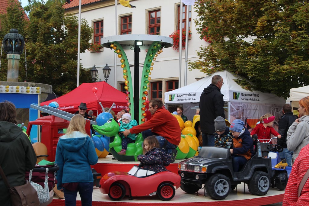 Für Große und Kleine wurde beim "Tag der Regionen" in der Oschersleber Innenstadt viel geboten.