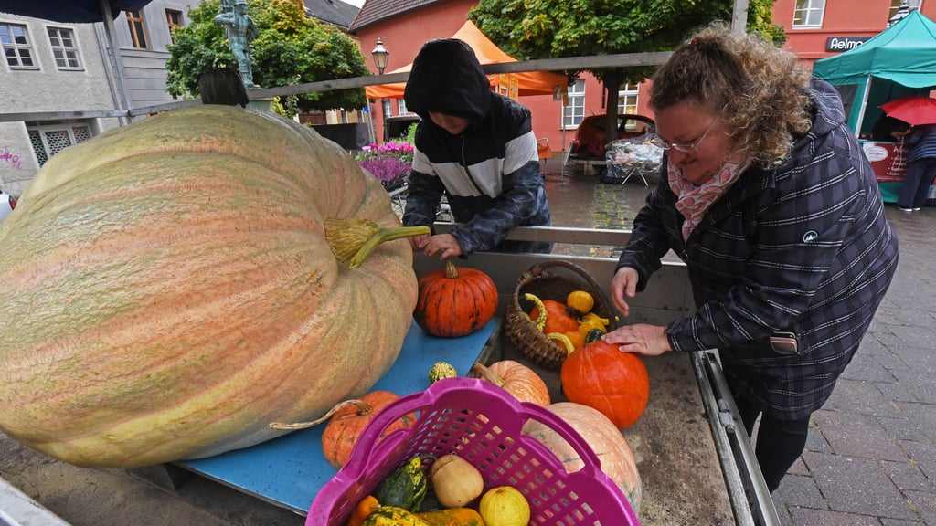 Ariane Koch aus Frose hat sich auf dem Grünen Markt in Aschersleben mit ihrem Riesenkürbis eingefunden.