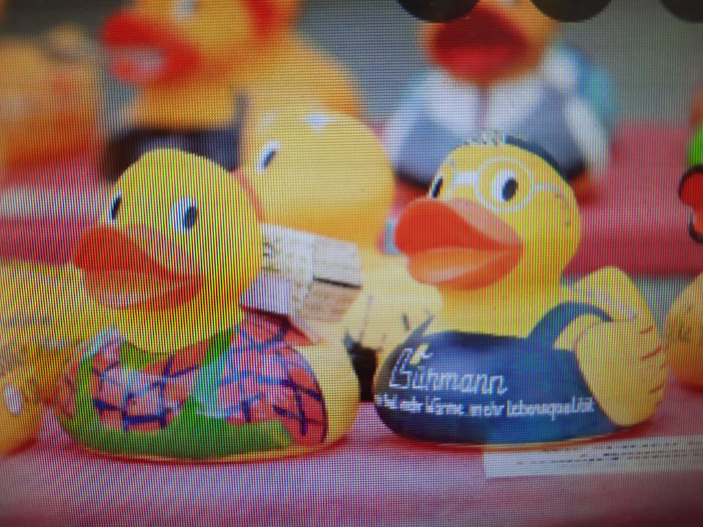 Im kommenden Jahr soll in Kalbe wieder das Entenrennen stattfinden.