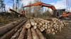 Harvester räumen Totholz aus dem Nationalpark Harz rund um Schierke. Der etwa 500 Meter breite Streifen soll den Ort vor Waldbränden schützen.