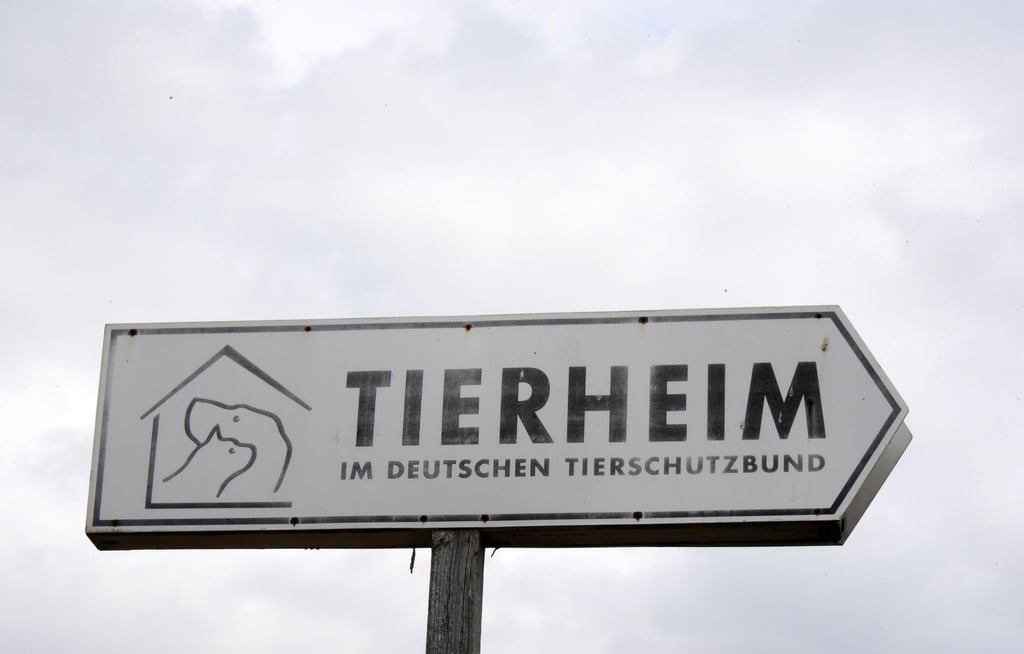 Am Straßenrand zeigt ein großes Schild den Weg zu einem Tierheim.
