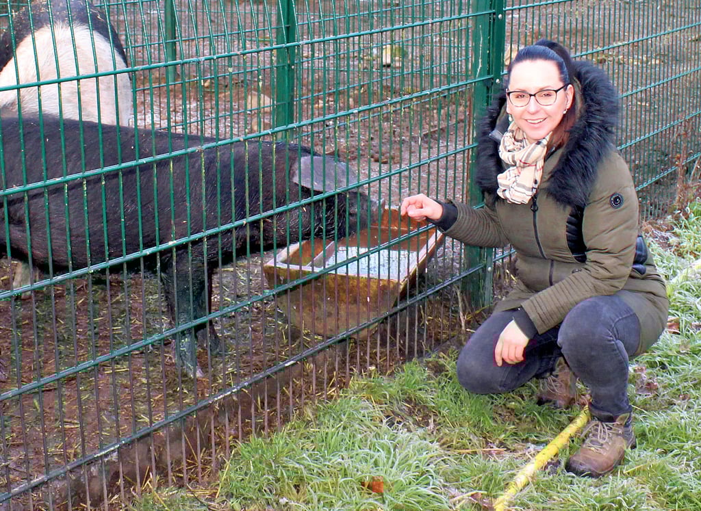 Wildpark-Geschäftsführerin Victoria Alex hat gekündigt. Kommt Unterstützung von der Stadt Tangerhütte, würde sie weitermachen.