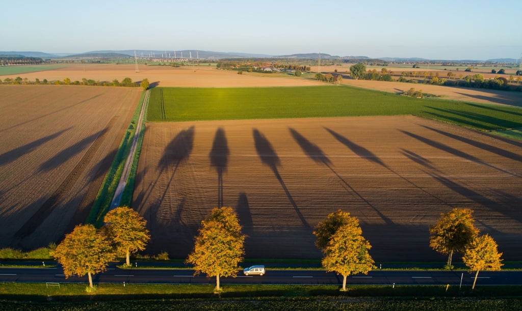 Autos fahren am Morgen bei Sonnenaufgang durch eine Allee mit herbstlich verfärbten Bäumen in der Region Hannover.