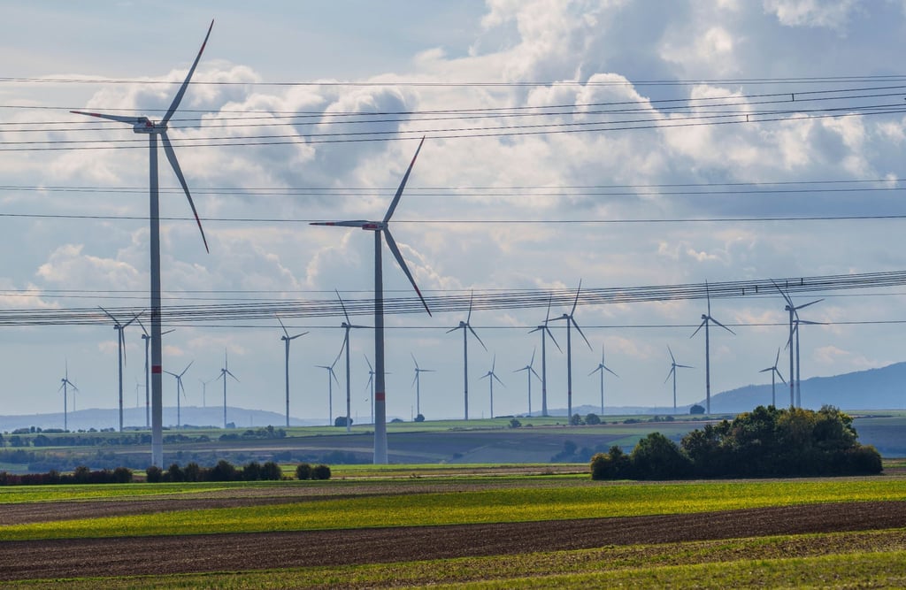 Dier Investitionen in klimafreundliche Technologien müssen laut einer Untersuchung erhöht werden.