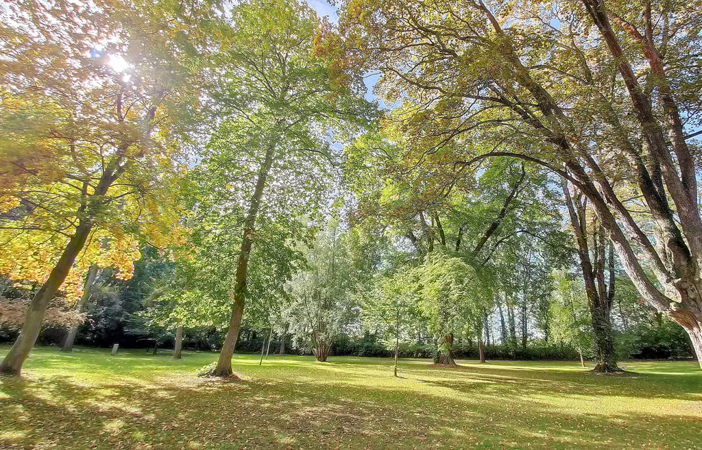 Ein idyllisches Bild bietet in diesen goldenen Oktobertagen der Park in Emseloh.