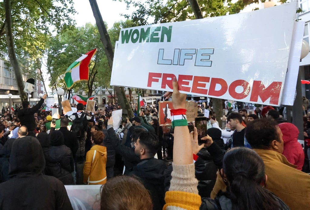 Viele Menschen demonstrieren auch im Ausland gegen das politische Regime im Iran - wie hier in Hamburg.