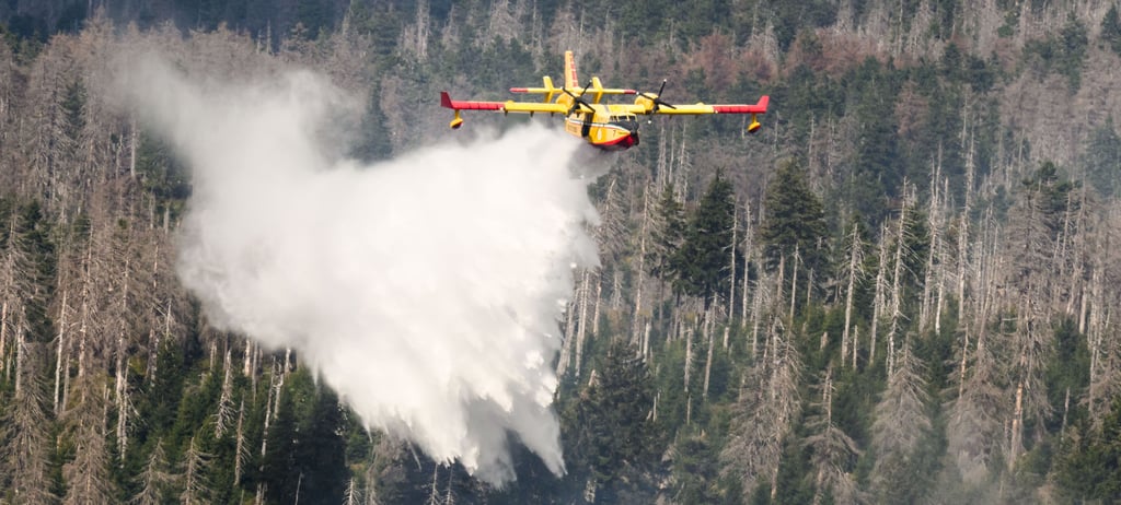 Waldbrand am Brocken im Harz in Sachsen-Anhalt. Ein Löschflugzeug wirft Wasser ab. Die Uni Magdeburg forscht an der Brandbekämpfung der Zukunft.