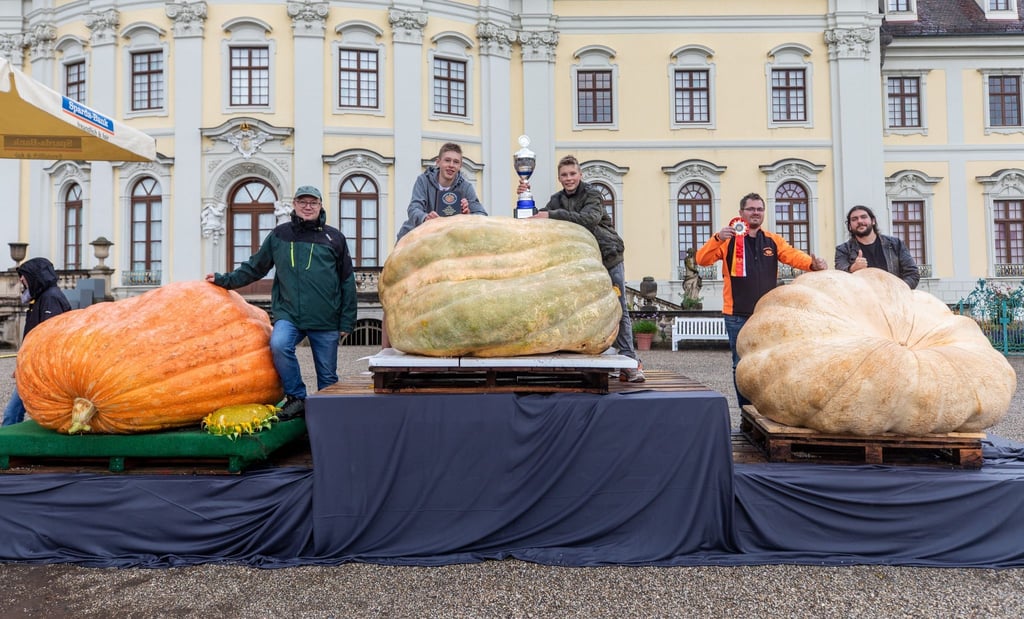 Ganz schön dicke Dinger: Für Deutschland gingen diese drei Züchter beim Kürbis-Wettbewerb ins Rennen.