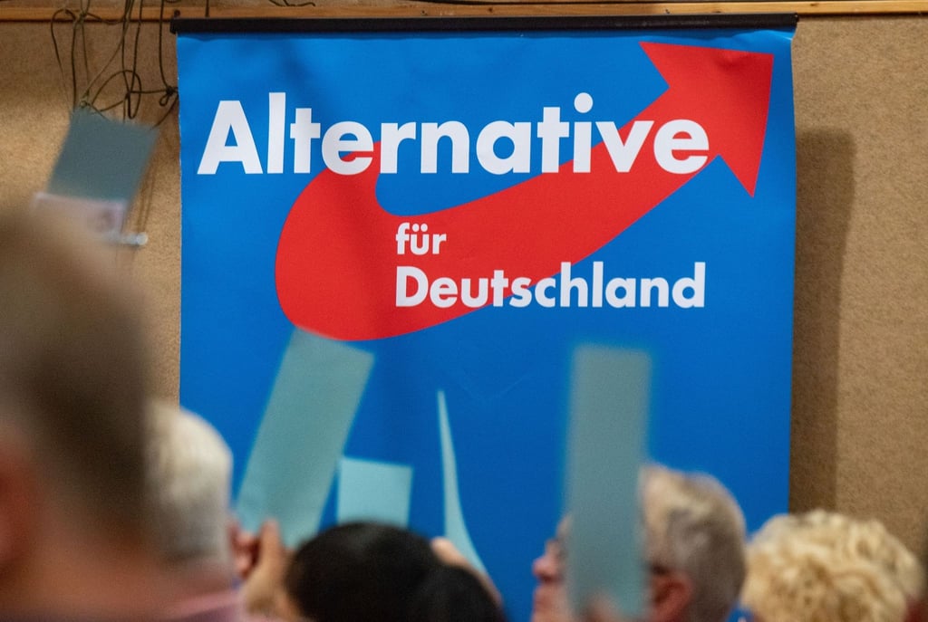 Der Landesverfassungsschutz stufte die AfD Brandenburg 2020 als rechtsextremistischen Verdachtsfall ein.