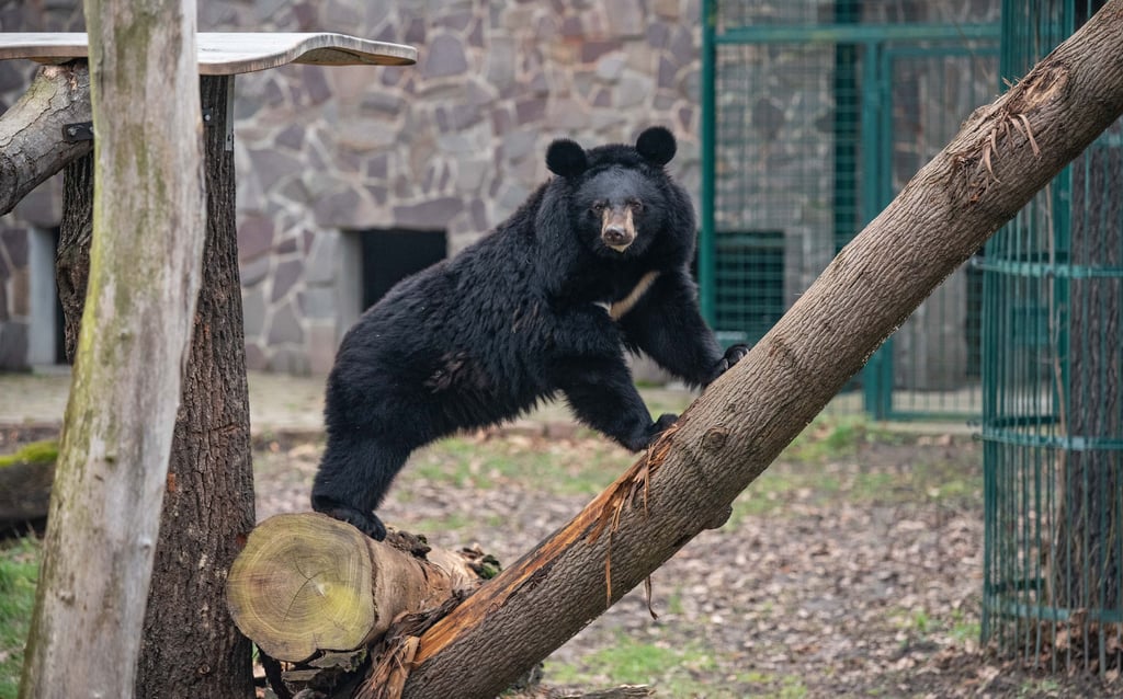 Dessaus Tierpark lädt zum Herbstfest.