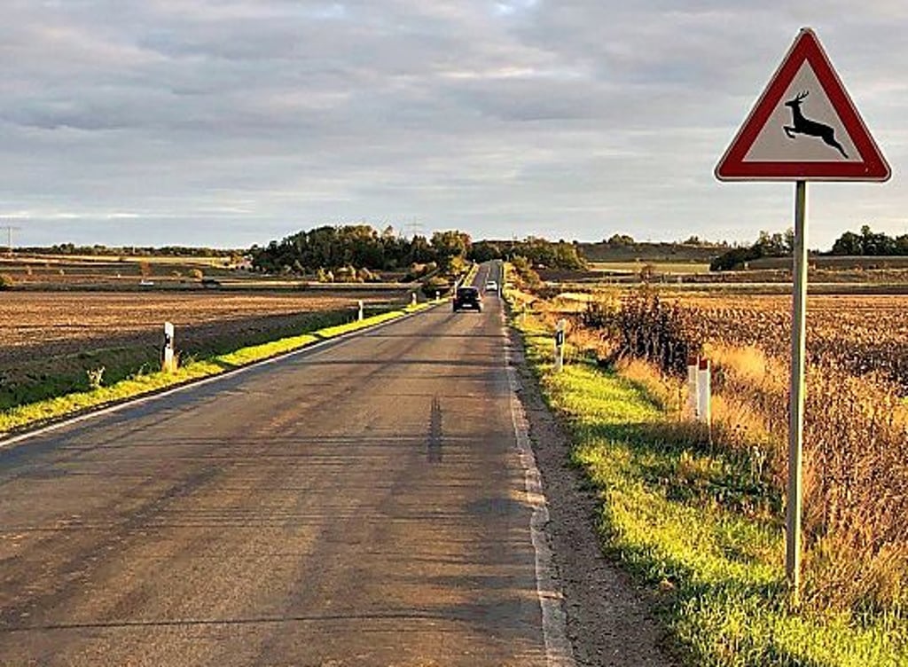 Am 17. Oktober beginnen bei Westerhausen die Sanierungsarbeiten eines weiteren Teilstückes der Kreisstraße 1.322.