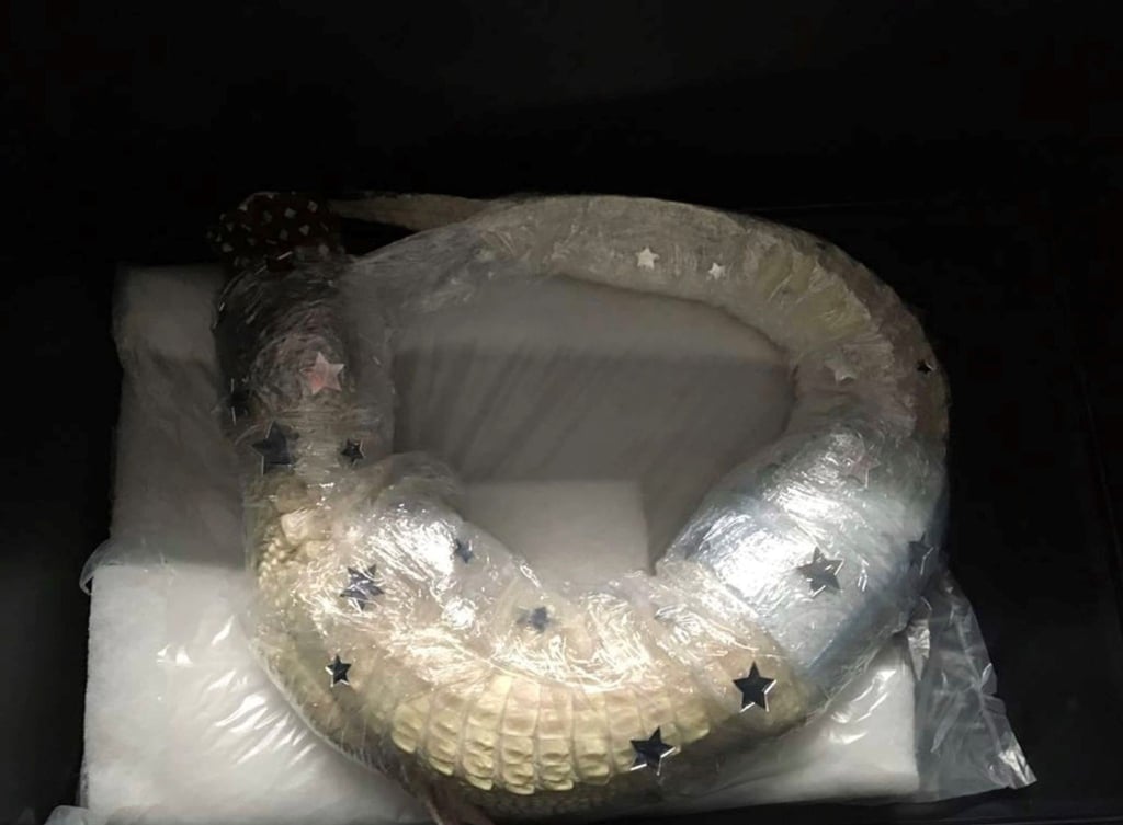 Der in Frischhaltefolie gewickelte Alligator liegt in einem Koffer am Flughafen München.