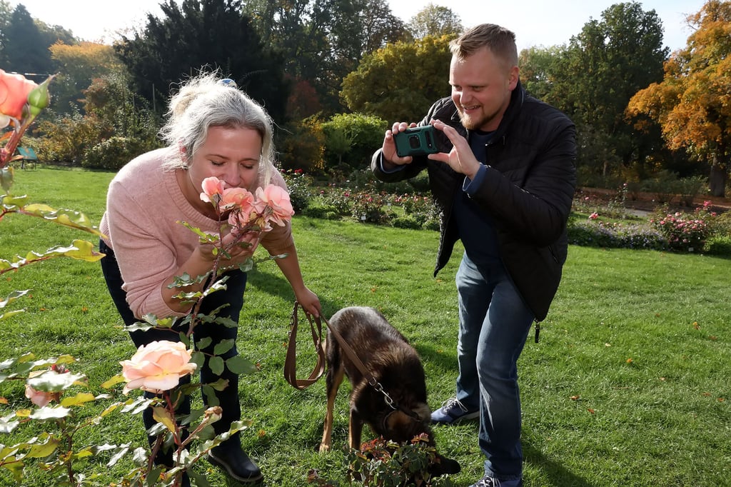 Jana und Björn Hansen sowie Hund Roy aus Eutin waren das erste Mal im Rosarium. Ihre Hochzeitsreise im Wohnmobil hat sie hierher geführt. Das Gros der Besucher ist bislang deutlich älter als die beiden Norddeutschen.