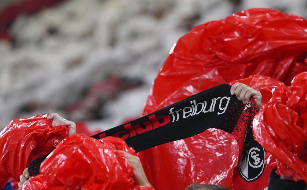 Der SC Freiburg konnte seinen Umsatz im abgelaufenen Geschäftsjahr steigern.