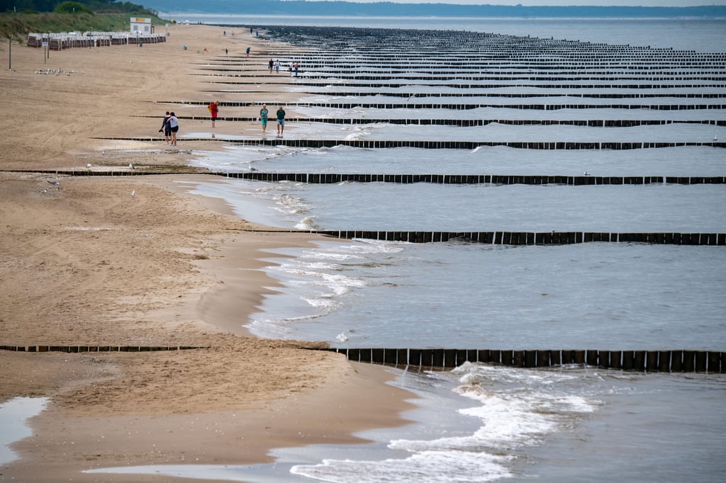 Nach dem Vorbild der Buhnen am Ostseestrand wird jetzt das Geiseltalsee-Ufer bei Frankleben vor Erosion durch die Strömung geschützt.