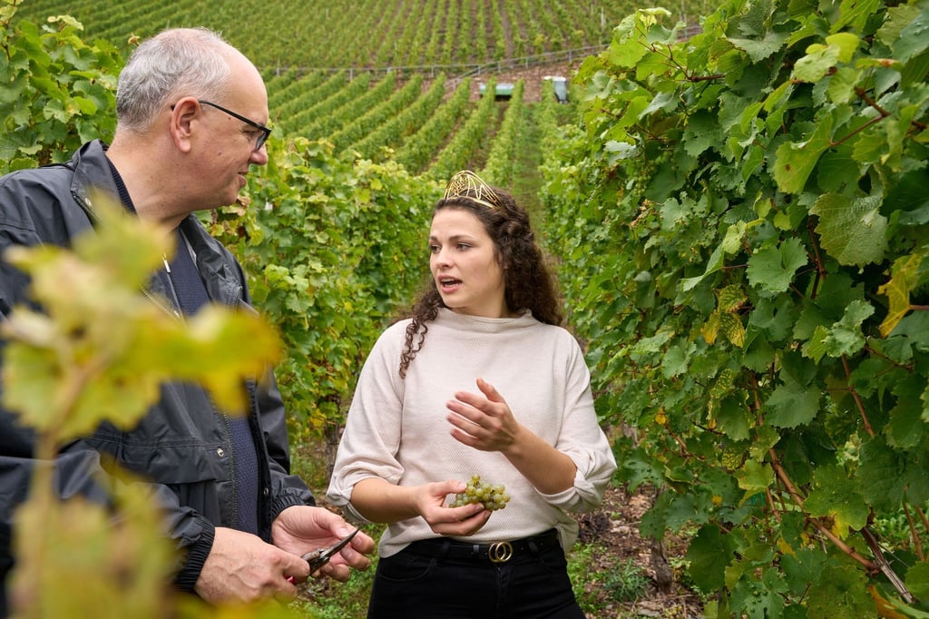 Bremens Bürgermeister Andreas Bovenschulte mit Weinkönigin Katrin Lang bei der Weinlese.