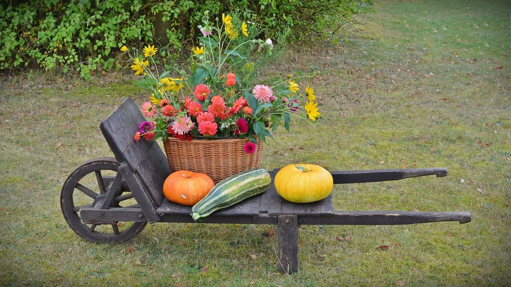 Auch im November kann im Garten noch einiges getan werden. Was das ist, verrät Gärtner Lars Fehse aus Hedersleben.