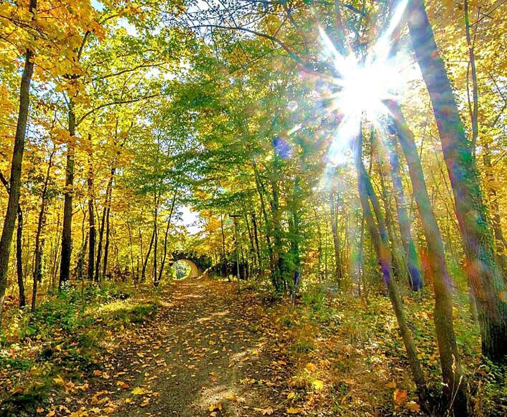 Schöner Herbst in Möhlau