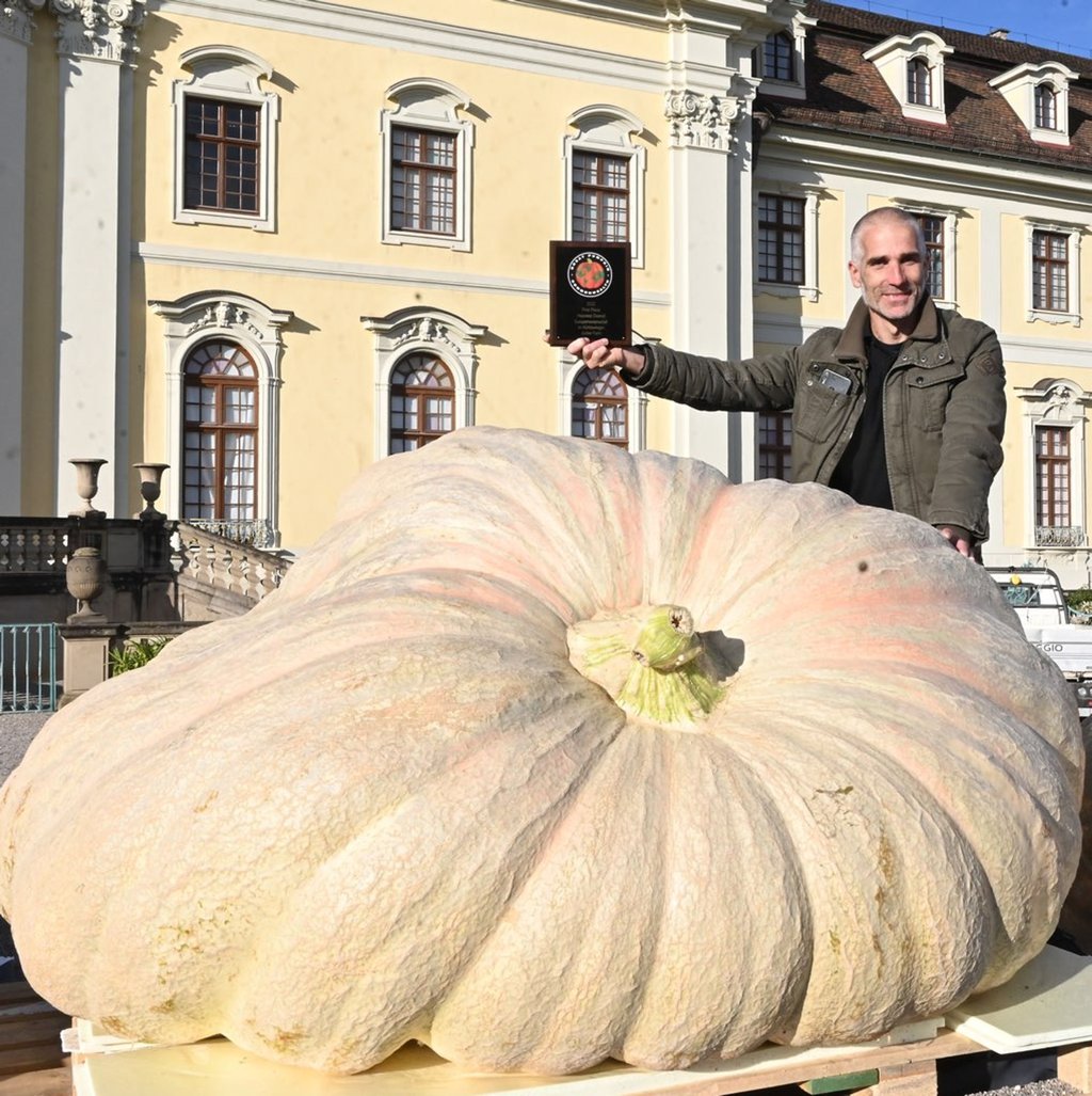 Kürbiszüchter und Titelverteidiger Stefano Cutrupi feiert seinen Europameisterschaftstitel, den er beim Wettwiegen um den schwersten Kürbis gewonnen hat.