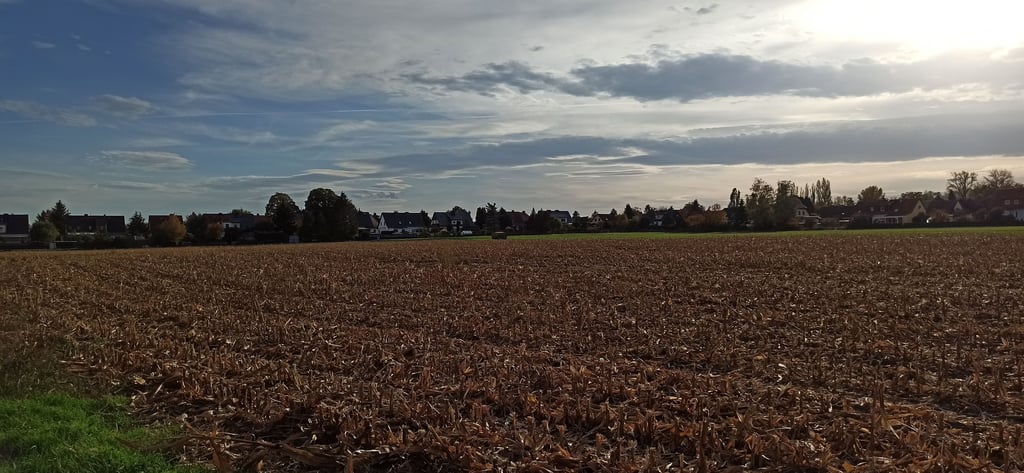 Im Bereich des Iltiswegs in Magdeburg soll ein neues Wohngebiet entstehen.