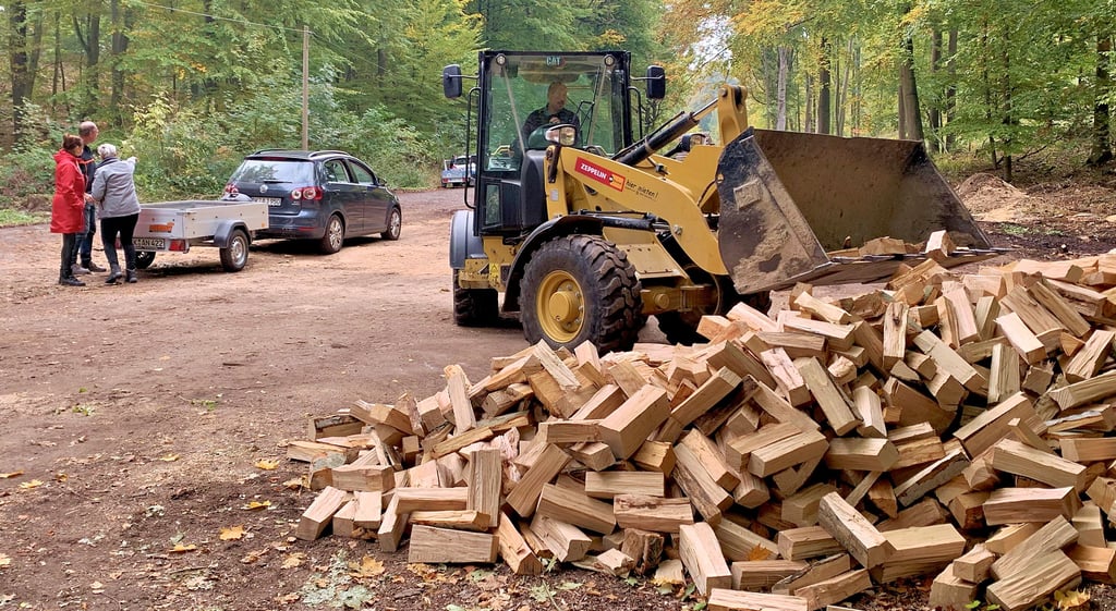 Der Landkreis Börde hat auch diesem Jahr wieder Brenn- und Kaminholz im Hohen Holz bei Oschersleben verkauft. Der Andrang war groß.