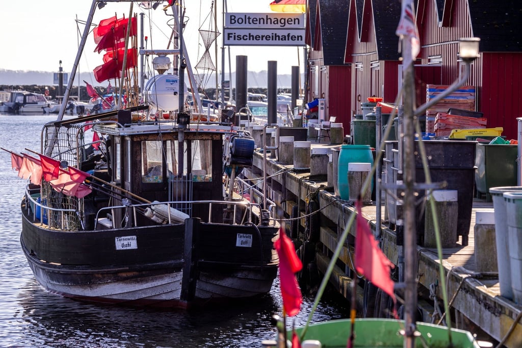 Ein hölzerner Fischkutter liegt im kleinen Fischerhafen in Tarnewitz.