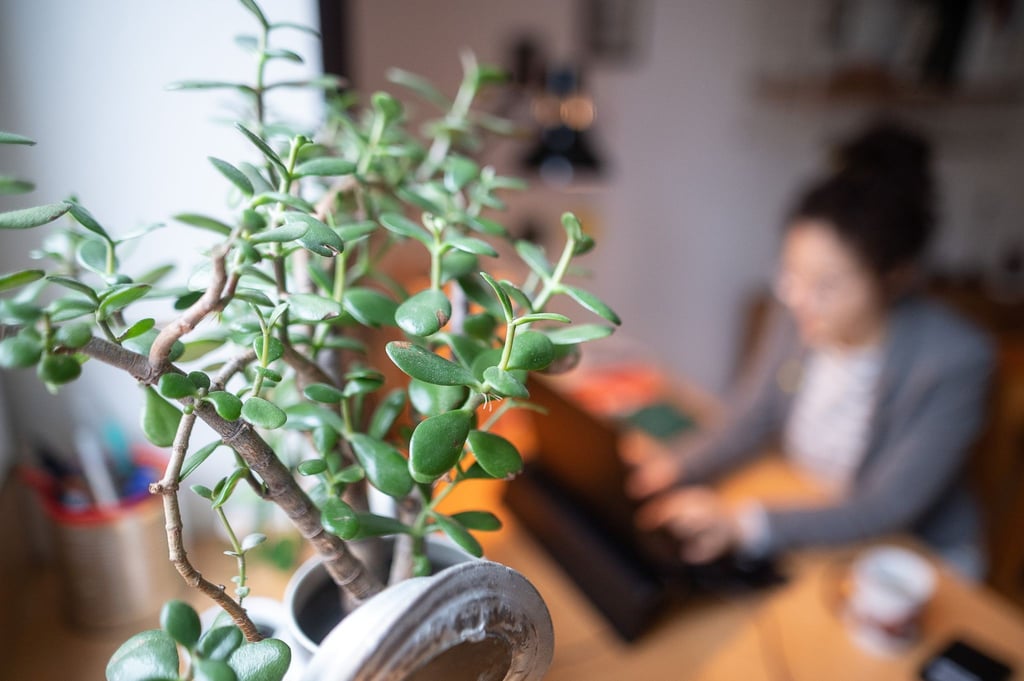 ZuIst das nun ein Arbeitszimmer oder ist es das nicht? Sehen Finanzbeamte hierbei Klärungsbedarf, können sie Steuerpflichtige um Aufklärung bitten.