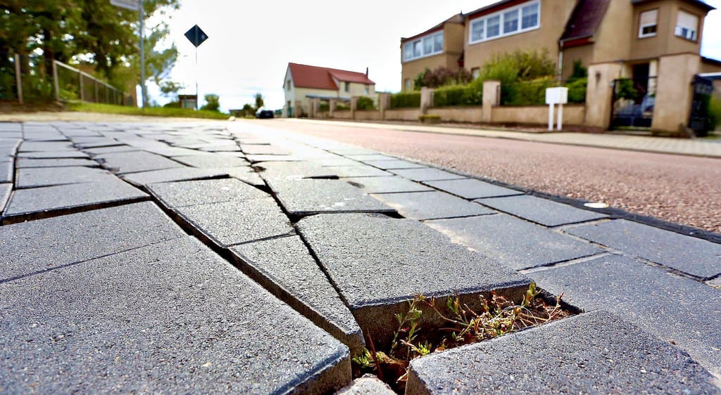 Das Betonsteinpflaster der Plötzkauer Lindenstraße ist rund vier Jahre nach Fertigstellung locker.