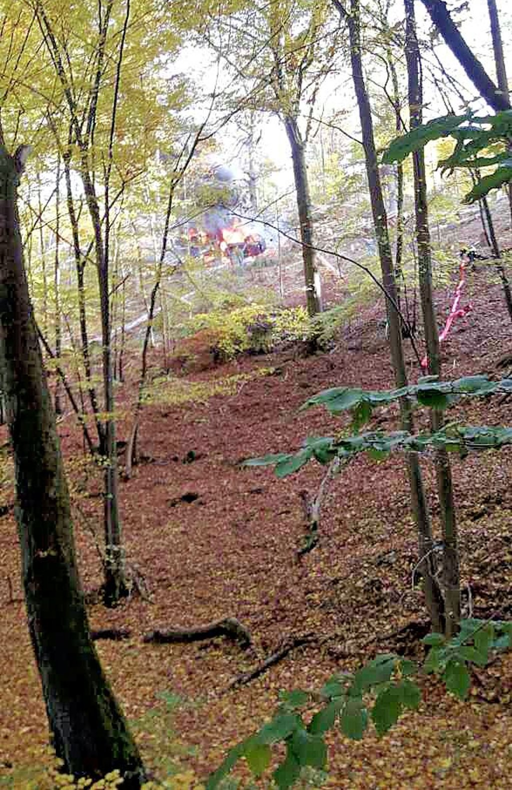 Vom Waldbad musste die Schlauchleitung über 60 Meter hoch am Steilhang aufgebaut werden.