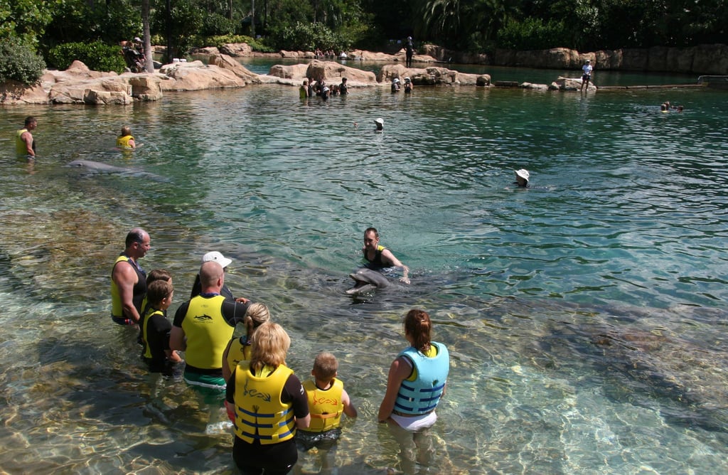 Das Discovery Cove und die anderen Seaworld-Themenparks in Orlando sind nach kurzzeitiger Schließung wieder geöffnet.