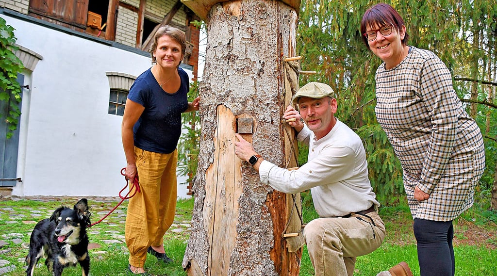 Haiko Kuntze zeigt auf seinem Hof eine von Bienen bewohnte Klotzbeute. Immer wieder lernen Kristin Klatt (links) und Sabine Wieter im Rahmen ihres Bienenprojektes Interessantes über das Leben der Insekten.