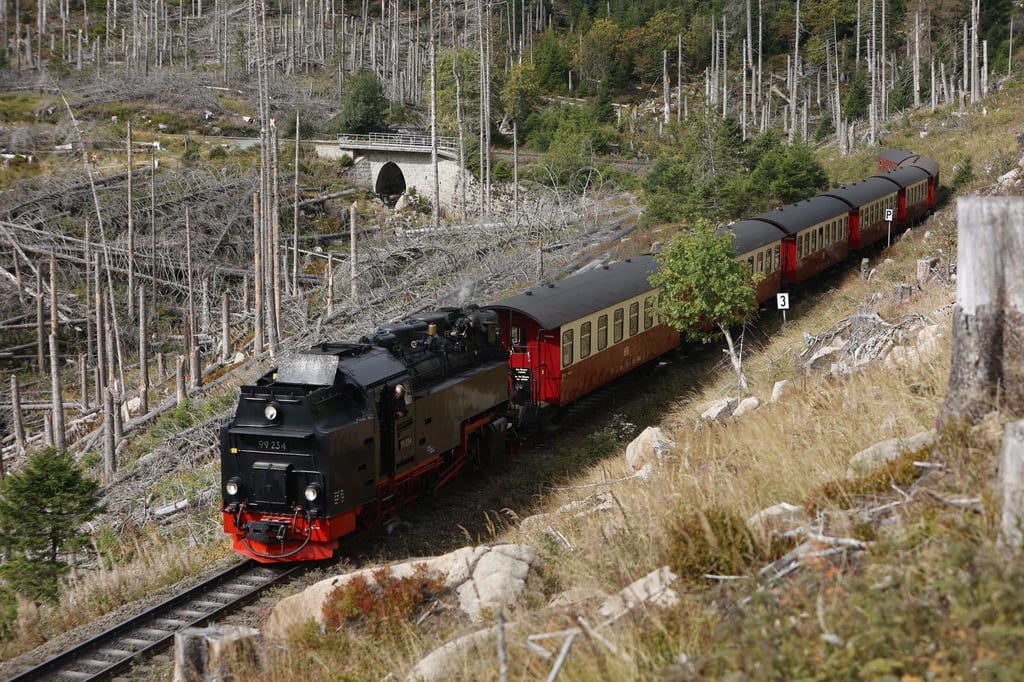 Im November schränken die Harzer Schmalspurbahnen den Betrieb auf mehreren Strecken ein. .
