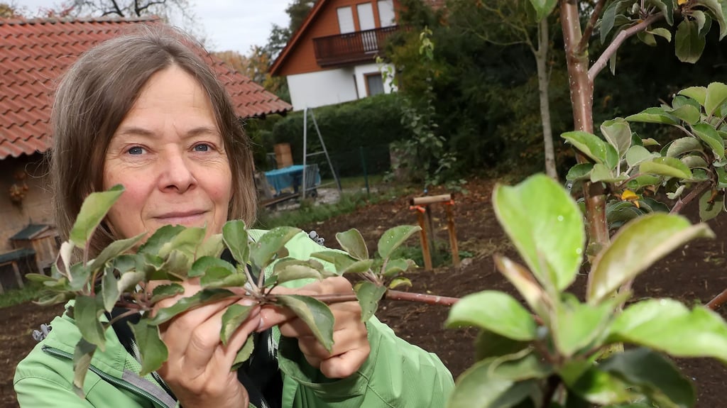 Projektleiterin Dagmar Schreiber kontrolliert die gepflanzten Obstbäume.