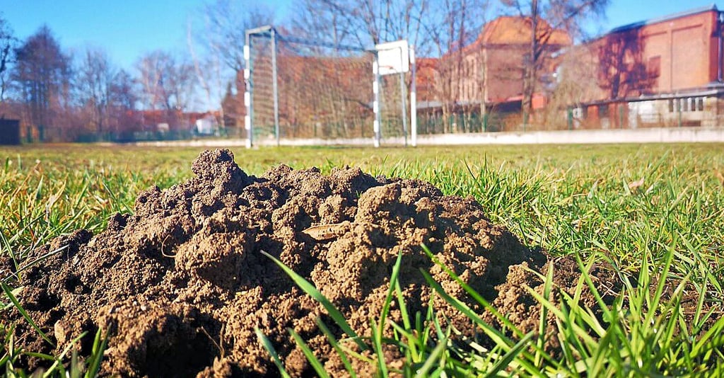 Die Außensportanlage der Gröpertor-Schule in Halberstadt befindet sich in einem schlechten Zustand.