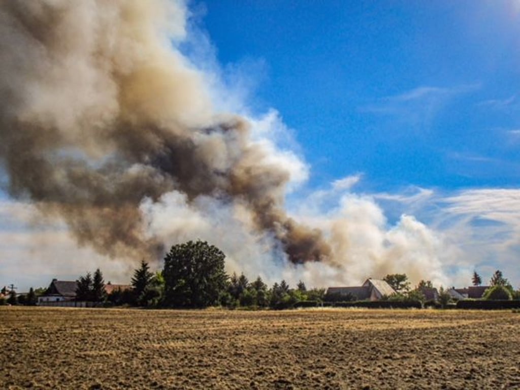 Gericht spricht zur Brandursache Waren Mäharbeiten schuld an Waldbrand