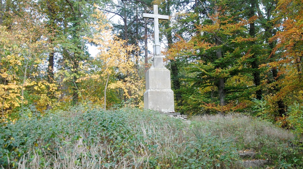 Den alten Gutsfriedhof auf dem Beetzendorfer Eiskuhlenberg, der als Gedenkort des geplanten Bestattungswaldes eingerichtet werden soll, hat inzwischen die Natur zurückerobert.