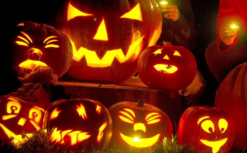 Kürbisse gehören zur Halloween-Dekoration einfach dazu und werden sicher auch am Wochenende vielerorts zu finden sein.