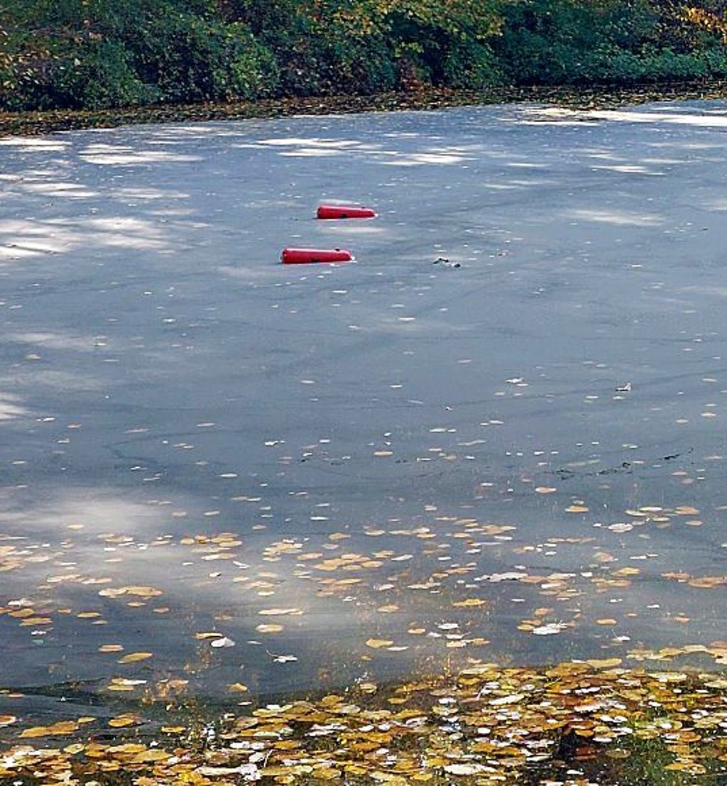 Leere Feuerlöscher schwimmen im Buschteich.