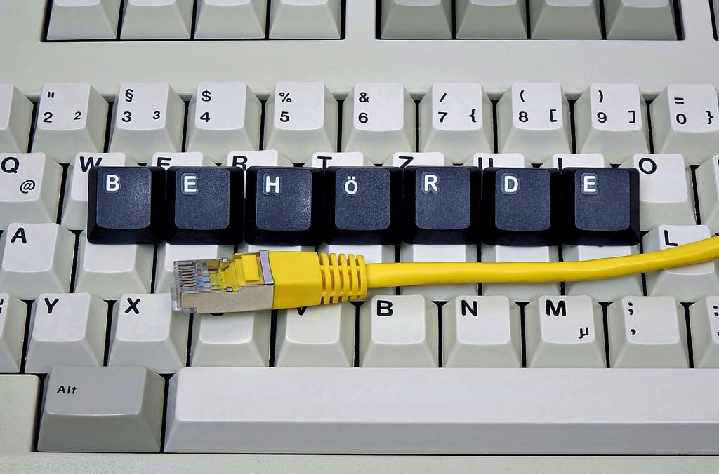 Die Digitalisierung der Behörden schreitet nur landsam voran. Doch es sollen immer mehr Leistungen online zur Verfügung gestellt werden.