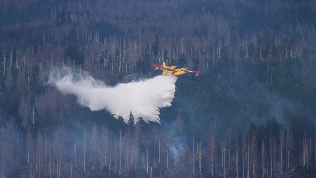 <source>IMAGO/Martin Wagner<sha1>-45K-1ioY75irc9ngd5fl4eR387</sha1>