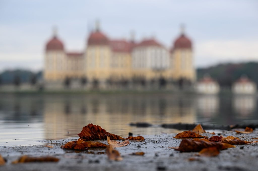 Abgefallene Blätter liegen am Teichufer vor dem Schloss Moritzburg.