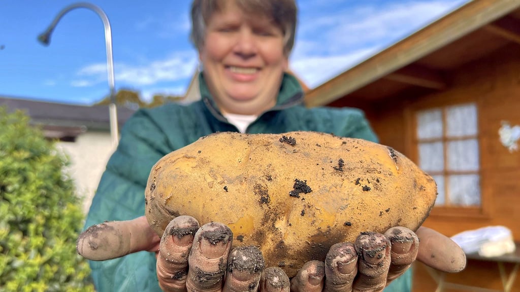 Ramona Hartmann hat eine Riesenkartoffel geerntet mit 903 Gramm.