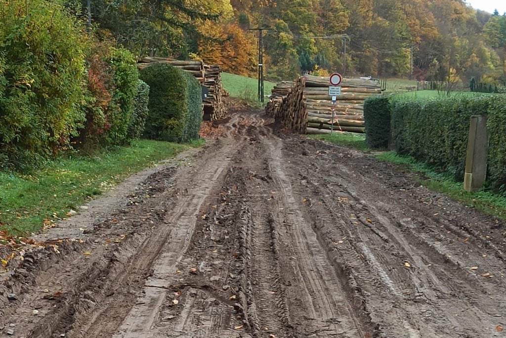 Die schweren Holztransporter haben tiefe Spurrillen am Ortseingang von Questenberg hinterlassen und jede Menge Schlamm im Ort verloren.