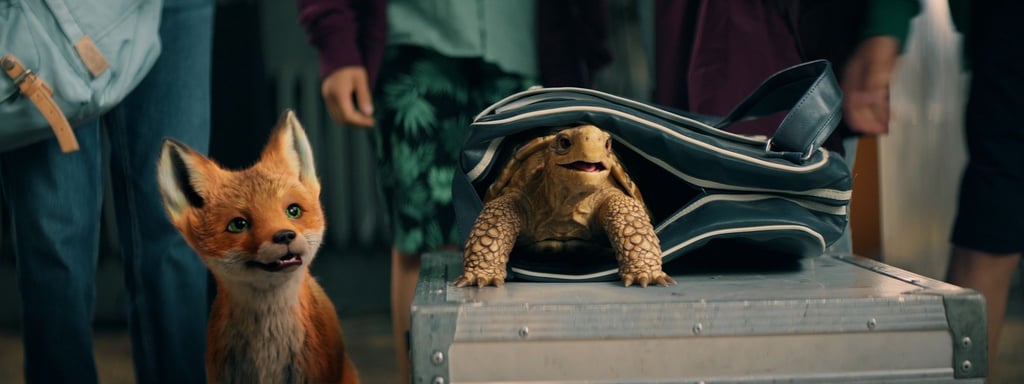 Zur Buchreihe „Die Schule der magischen Tiere“ soll es einen weiteren Kinofilm geben.