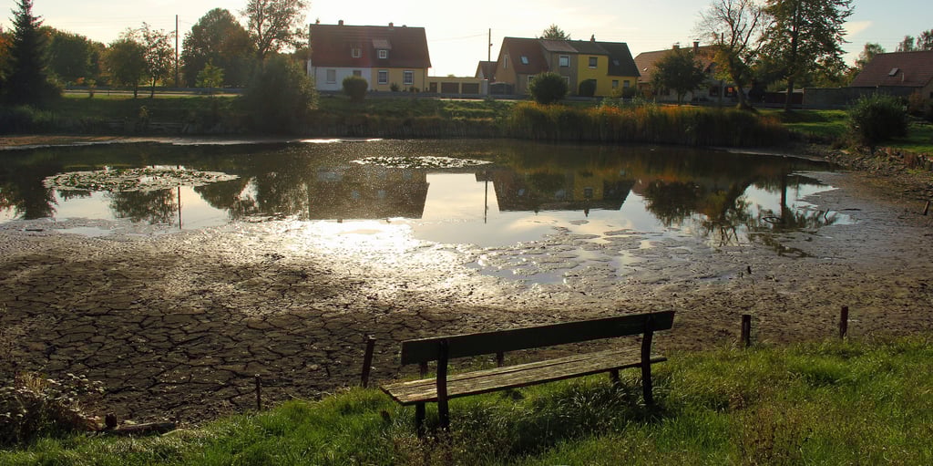 Idyll mit Wermutstropfen: Der Ovelgünner Dorfteich hat gehörig an Wasser verloren, der Spiegel ist schätzungsweise um 1,30 Meter gesunken.