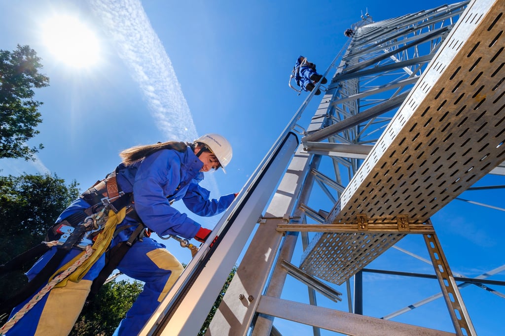 An der Nordspitze des Großen Werders in Magdeburg will ein Mobilfunkanbieter einen Funkturm errichten.