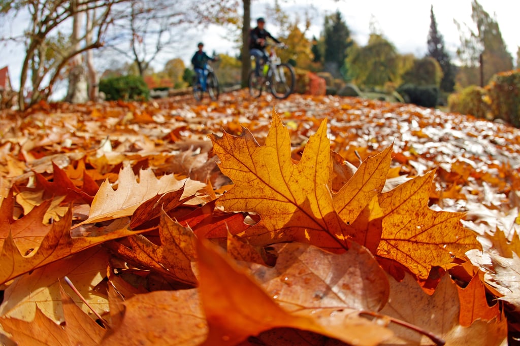 Goldener Oktober: Im Harz ist es derzeit am wärmsten.