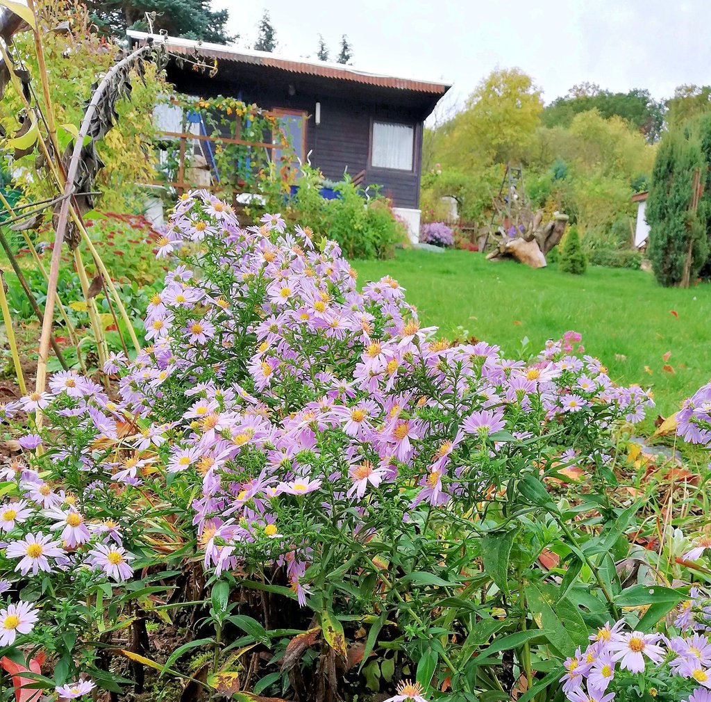 Das herrliche Wetter dieser Tage lockt viele in die Gärten - hier in die Gartenanlage Großosida.